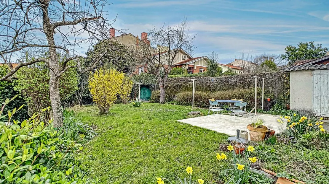 image de la Vidéo
